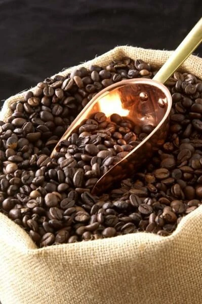 PEUGEOT Kaffeemühle Bresil In Buche Nussbaum 5 PEUGEOT Kaffeemühle Bresil In Buche Nussbaum – Bild 3